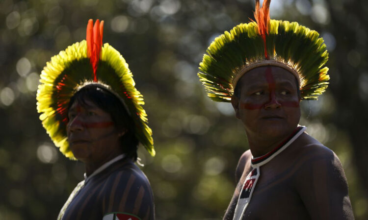 Ministério da Saúde declara emergência em saúde em território yanomami (Foto: Marcxelo Cordeiro/Agência Brasil)