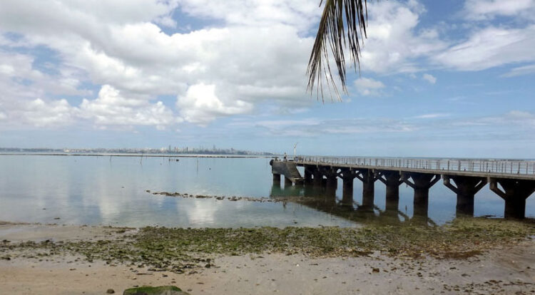 Quando a maré baixa demais, o Terminal de Vera Cruz fica inoperante. Falta dragagem. Foto: Astramab